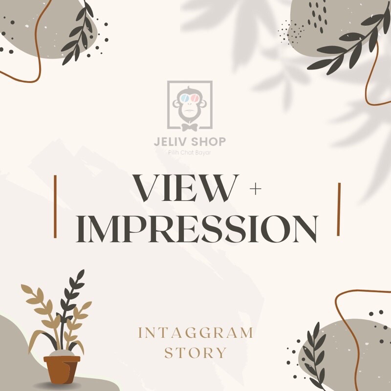 instaggram view impression story