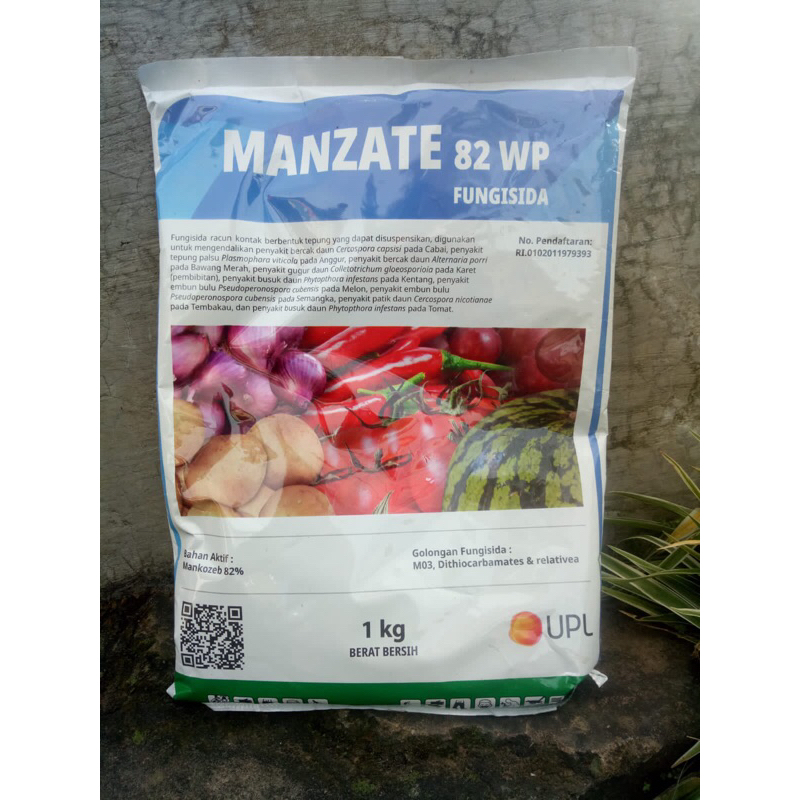 Fungisida Manzate 82 WP