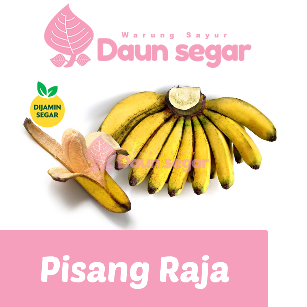 

Pisang raja Sereh 1 sisir Pisang Raja Bulu kuning super Fresh