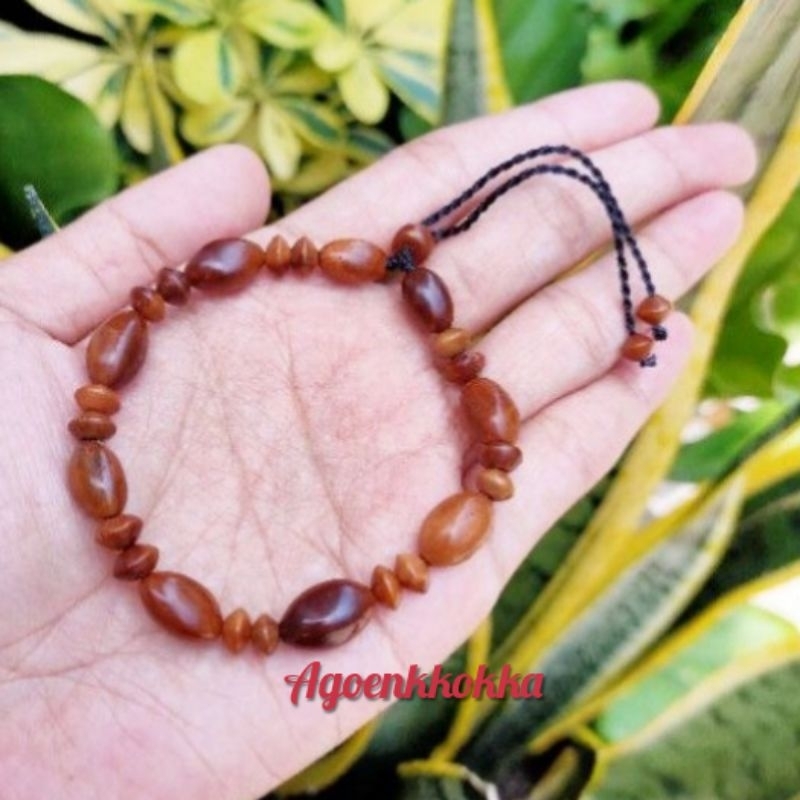 Gelang oval halat kima 2 coklat kokka kaokah