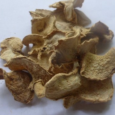 

BANGLE KERING IRIS / ZINGIBERACEAE TERMURAH 250 GRAM