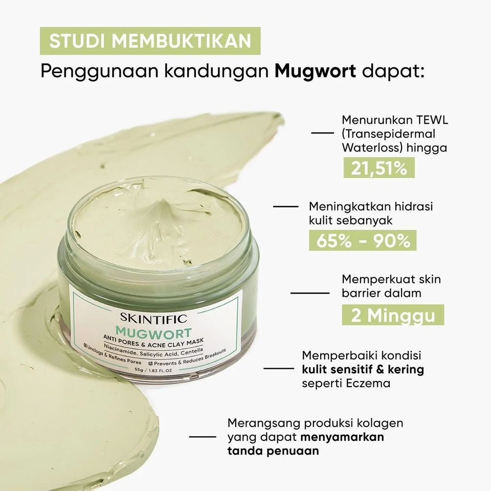 SKINTIFIC Mugwort Anti Pores Acne Clay Mask 55g Salicylic Acid Mask Green Mask Pore Clarifying Mud Mask