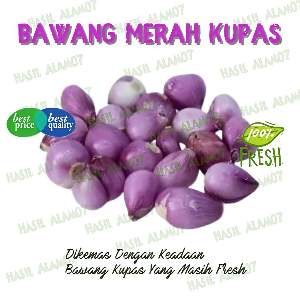 

Bawang Merah Kupas Segar 500 Gram Bawang Merah Kupas Segar