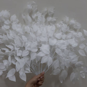 BONSAI BERINGIN PUTIH -lusin-