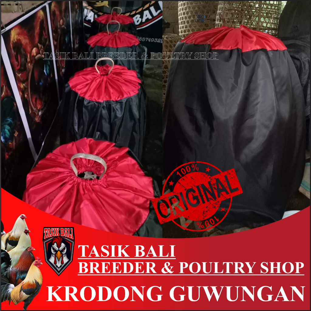 Guwungan kerudung/krodong kandang ayam, warna acak (random)
