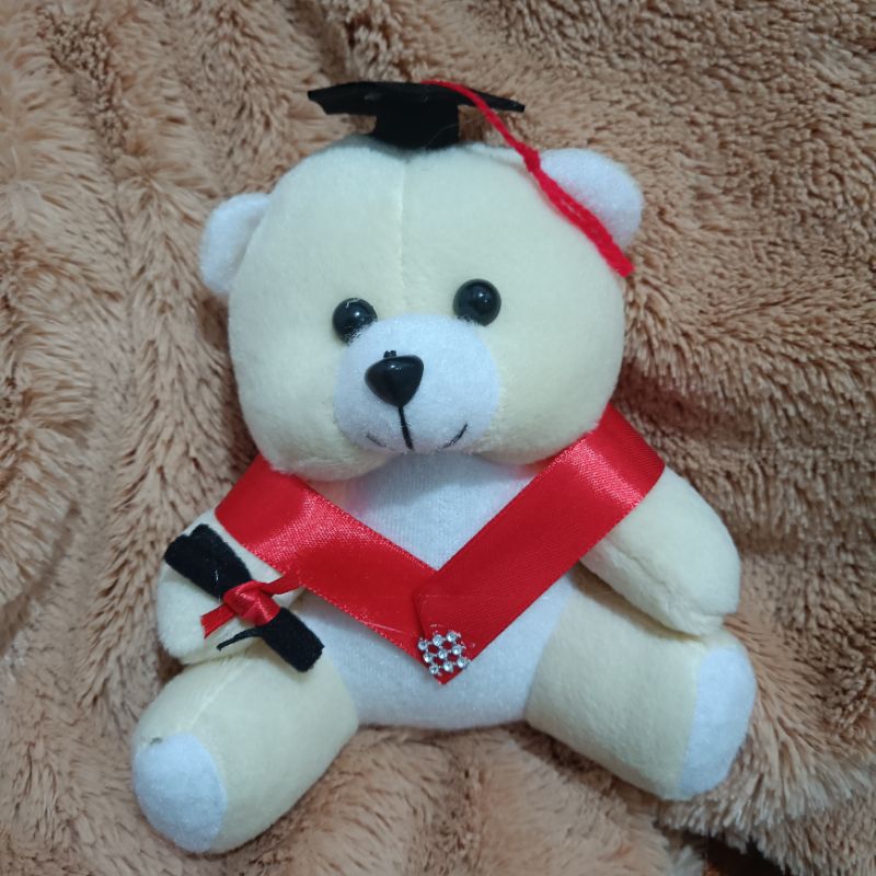 BONEKA BERUANG VELBOA / BONEKA BUKET / BONEKA WISUDA