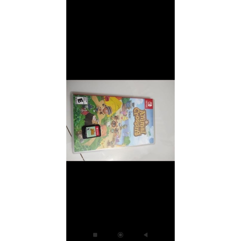Animal Crossing Nintendo Switch Second