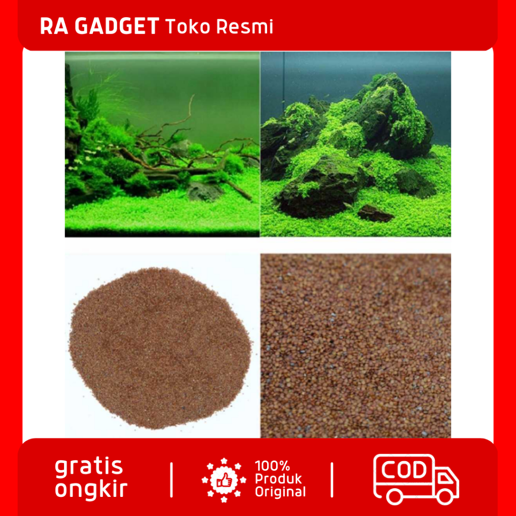 Bibit Rumput Air Dekorasi Air Carpet Seed Aquarium Landscape Ornament / Benih Biji Rumput Tanaman Hi
