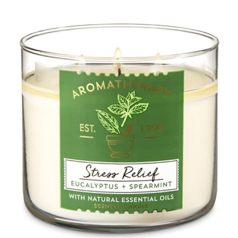Bath & Body Works Scented Candle (BBW Candle)
