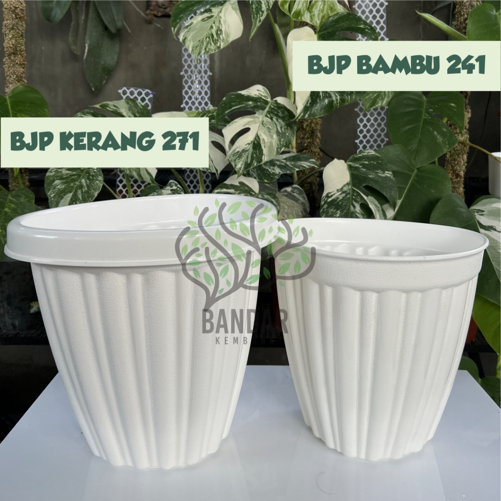 BJP Pot Kerang dan Bambu Bunga Tanaman Hias Tinggi Pot Plastik Putih Tinggi | Pot Tebal | Pot Plasti