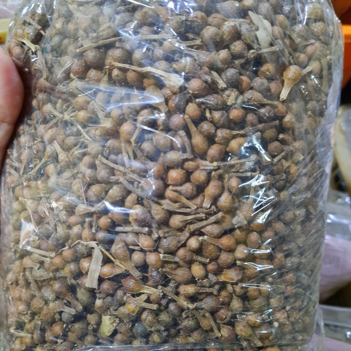 

TERBAIK HERBAL BIJI CEPLIKSARI/EUCALYPTUS KERING-500 GRAM