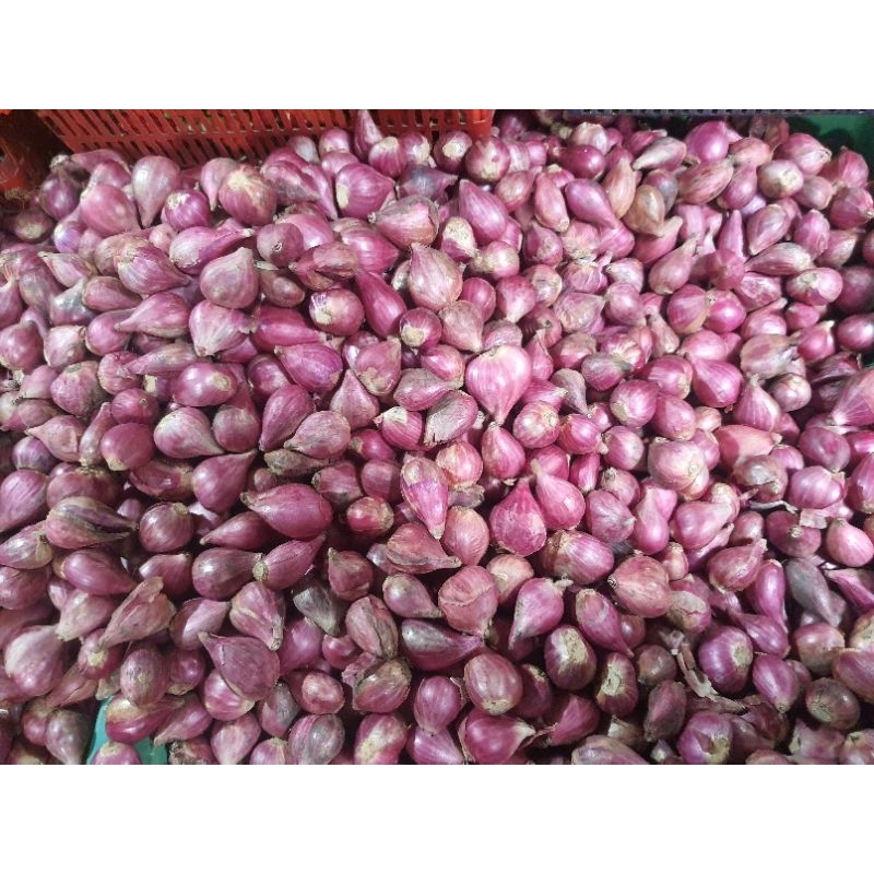 

[SKD Bumbu] BAWANG MERAH BREBES SUPER 250 GRAM