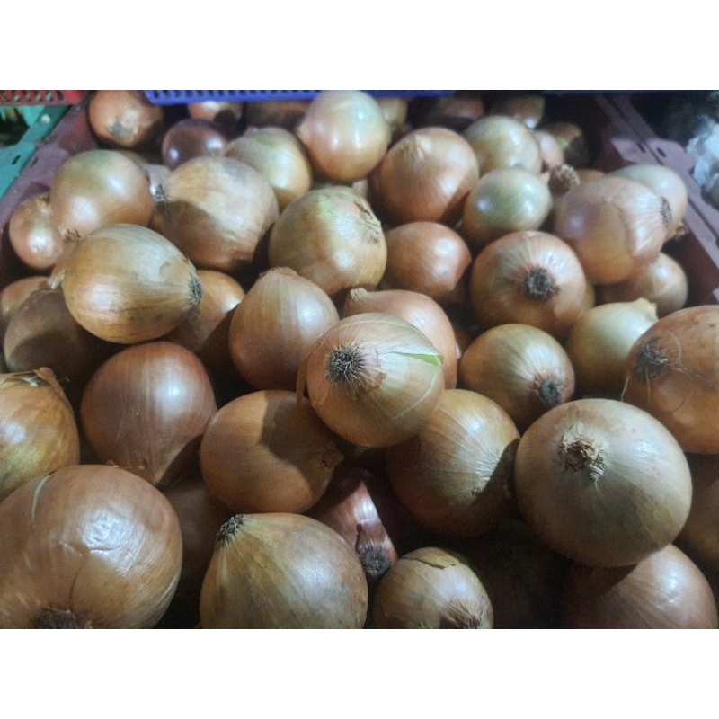

[SKD BUMBU] Bawang Bombay Super 250 Gram
