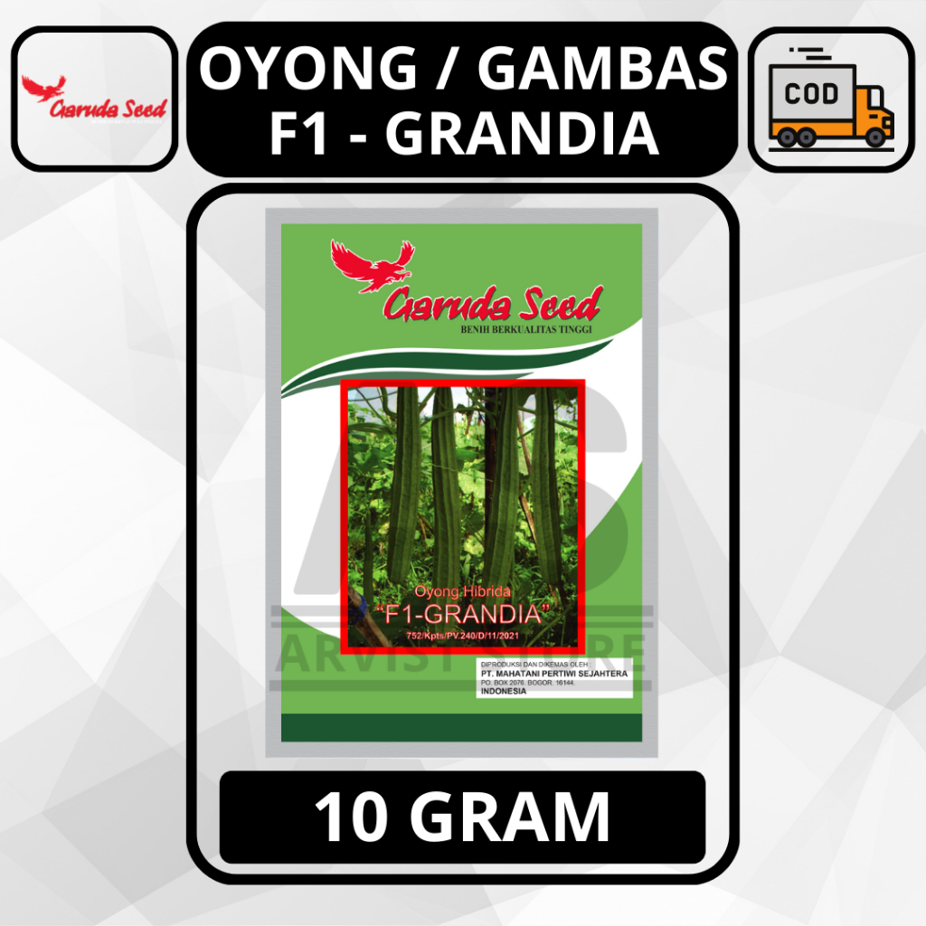 Benih / Bibit Gambas Oyong GRANDIA Kemasan Pabrik 10 Gram Biji Garuda Seed