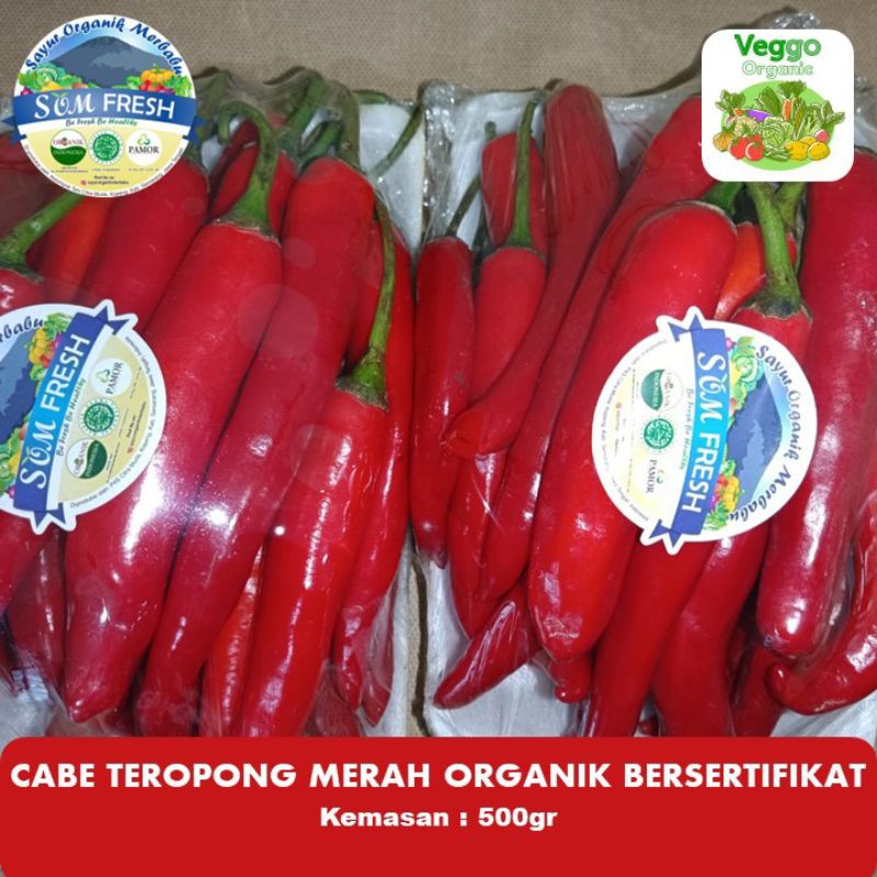 

Cabe Teropong Merah Organik