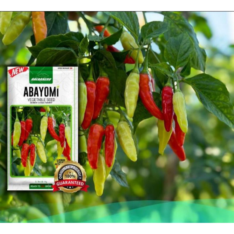 Benih Cabai Rawit Abayomi 10gram
