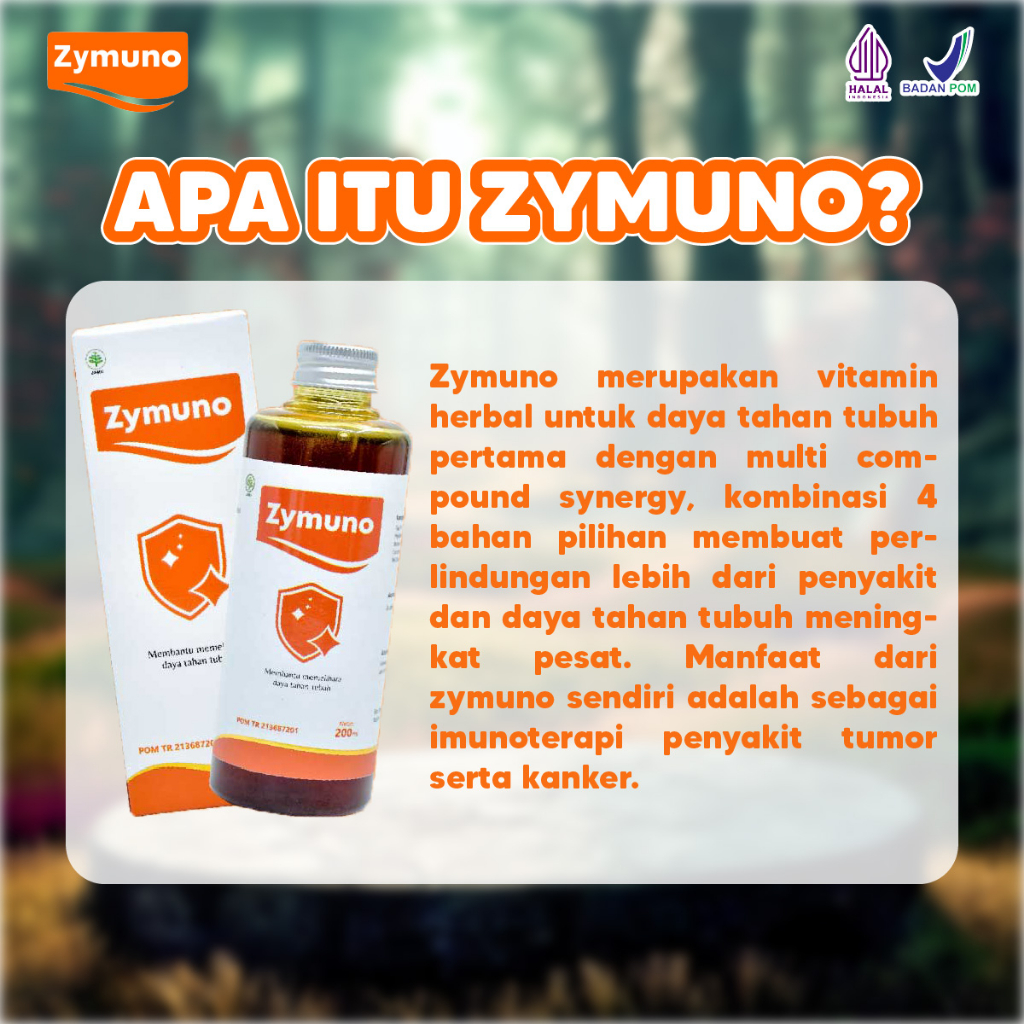 Madu Zymuno Original Bantu Atasi Kanker Benjolan Meningkatkan Daya Tahan Tubuh Paket 3 Box Isi 200ml