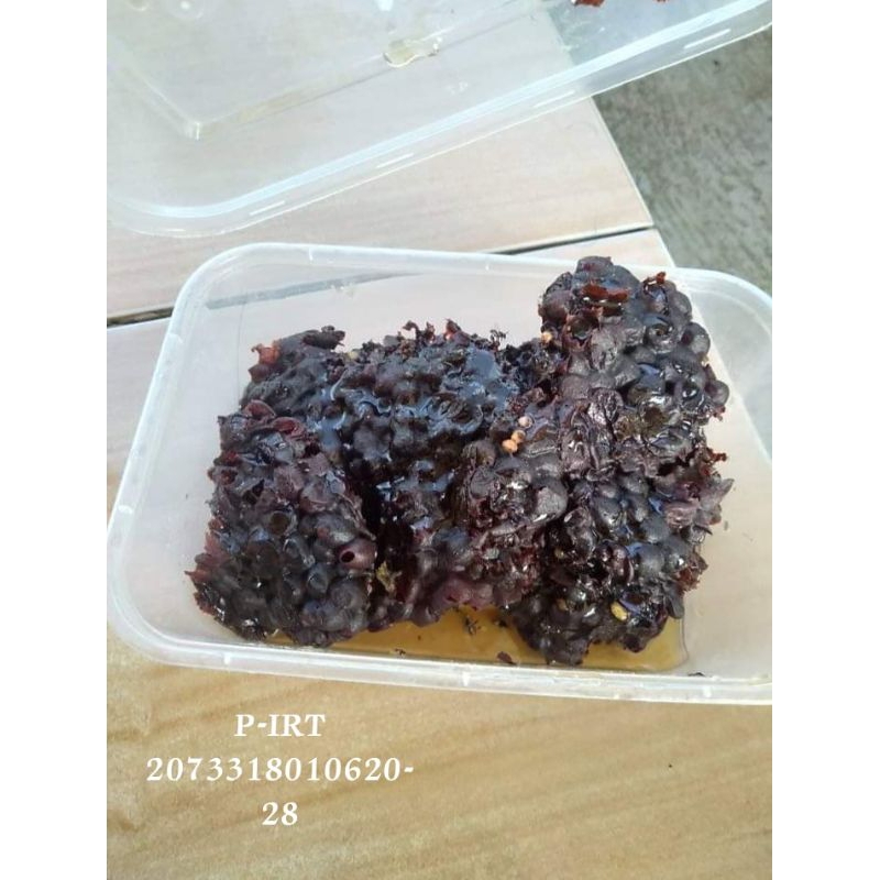 

Madu Sarang Klanceng/trigona [ 1kg ] Asli Murni 100%