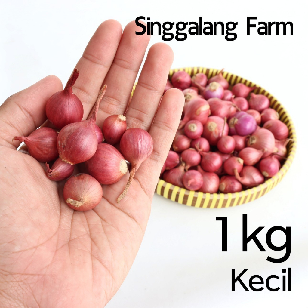 

Bawang Merah Singgalang Kecil 1.000gr