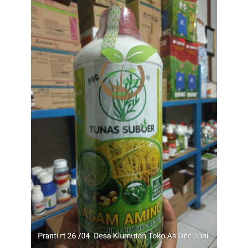 ASAM AMINO Tunas Suboer || ZPT ORGANIK + PUPUK ORGANIK