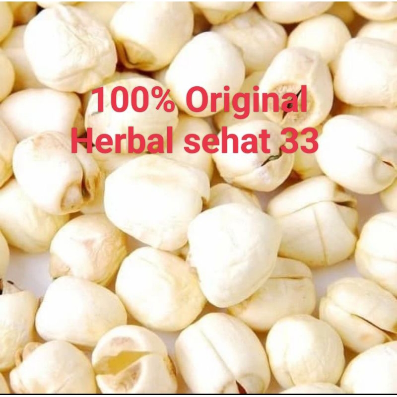 

biji teratai / lotus seed / Lien zi 500gr grade A