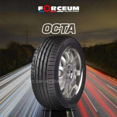 FORCEUM OCTA 205 45 R17