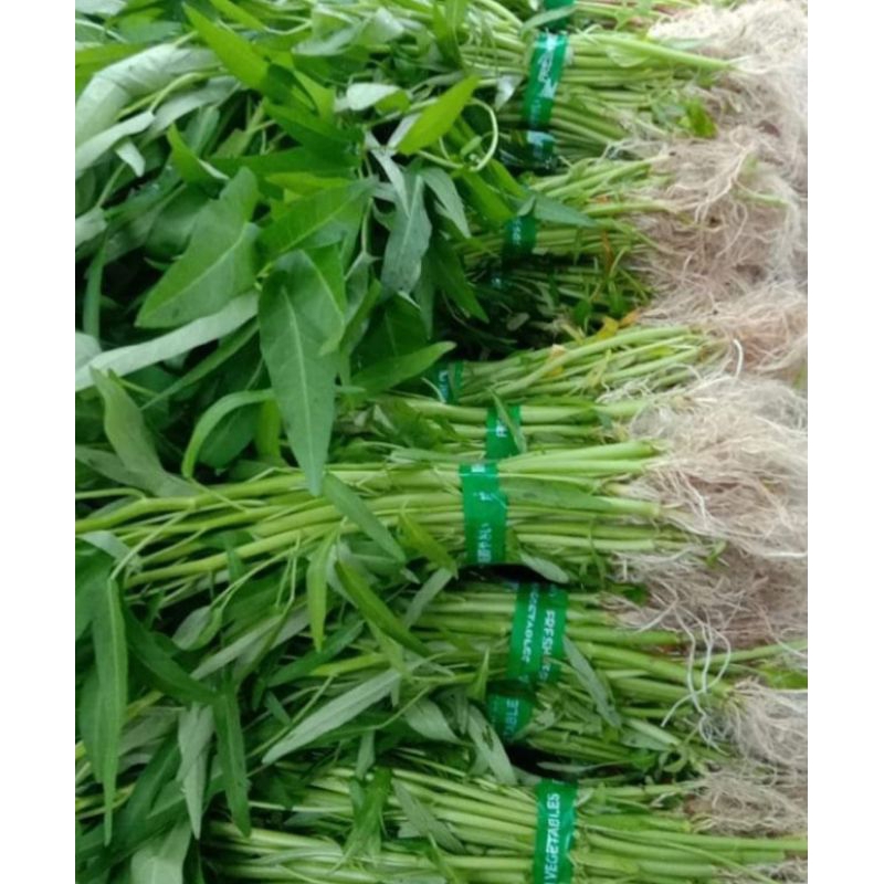 

Kangkung Organik 250g
