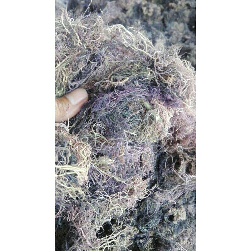 

RUMPUT LAUT KERING GRACILARIA BARU PANEN KEMASAN 1kg.Buat Agar2 dan Es Goder