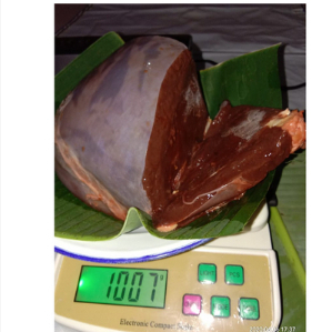 

Hati sapi Beef Australian Liver 1 kg Termurah