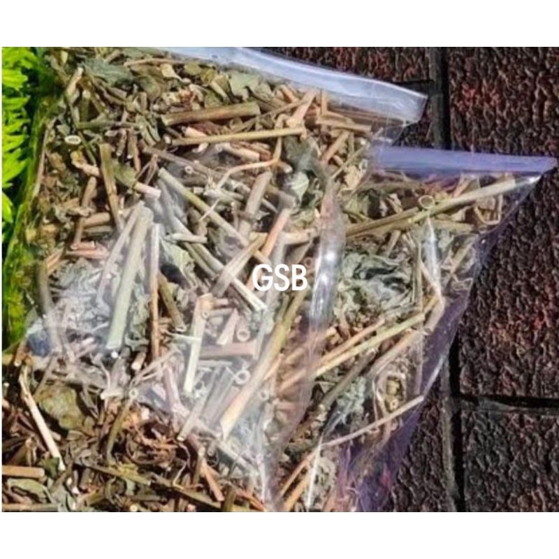 

Daun katemas kering daun patikmas kering