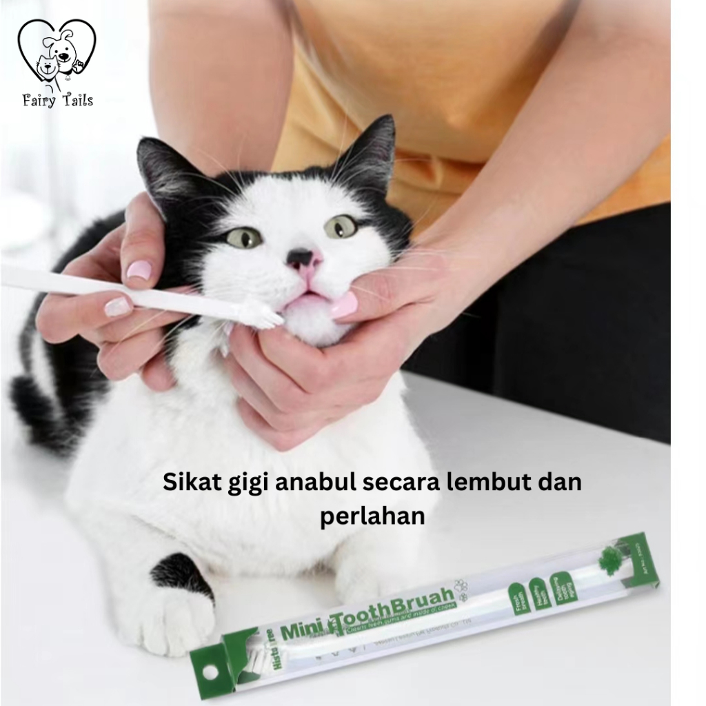 Sikat Gigi Single Head Untuk Kucing dan Anjing  atau Anabul Kecil Beragam Pilihan Warna Toothbrush Sikat Lembut / Pet Toothbrush for Cat and Small Dog