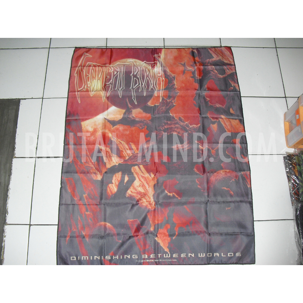 Flag - Decrepit Birth - Diminishing Between Worlds