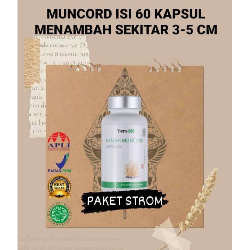 

Paket Strom
