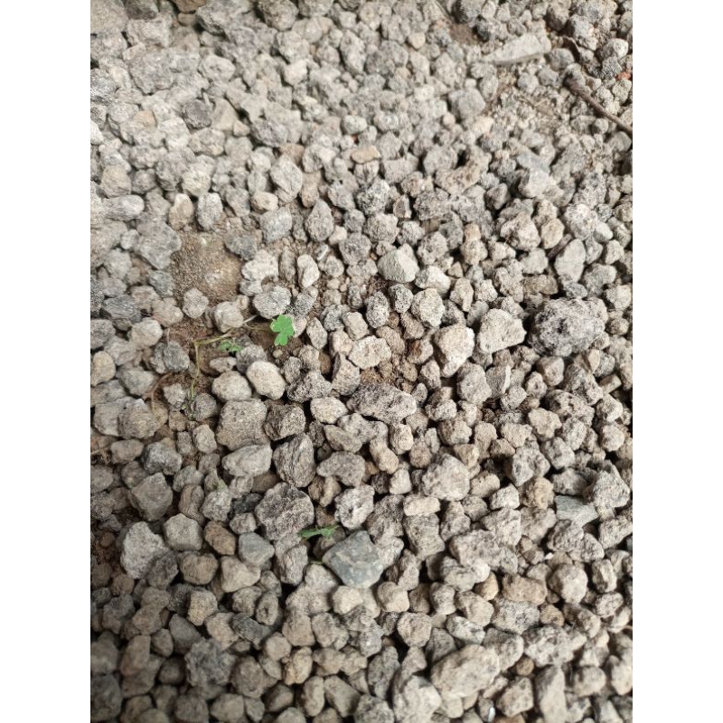 kerikil / batu sungai kemasan ½kg