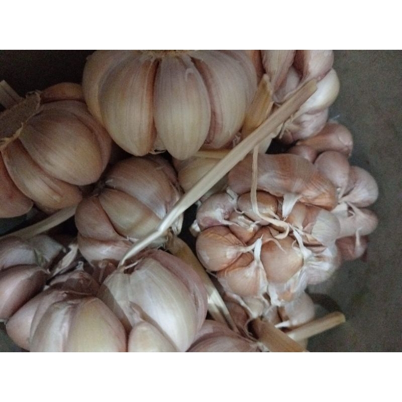 

bawang putih 1kg