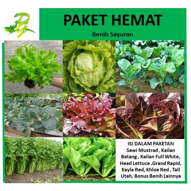 Paket Hemat Benih Sayuran
