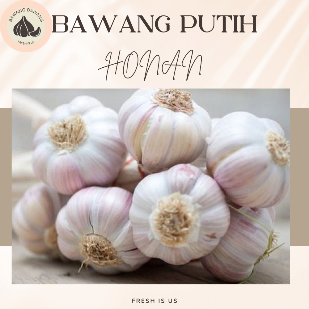 Bawang Putih Banci Honan 500 Gr Premium (tidak ada yang busuk)