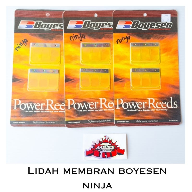 Lidah Membran Boyesen: Ninja/RX King