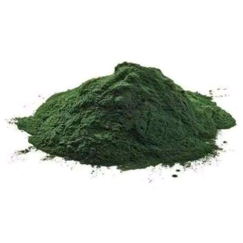 Spiruganik + Powder Organic 10 Gram Spirulina Powder Plus Food Grade
