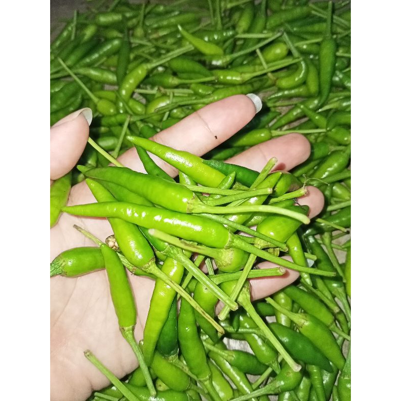

cabe ijo lalap 500g
