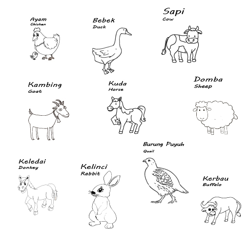 

Series Hewan Ternak (Level Easy) - Mewarnai Gambar untuk Anak TK/SD