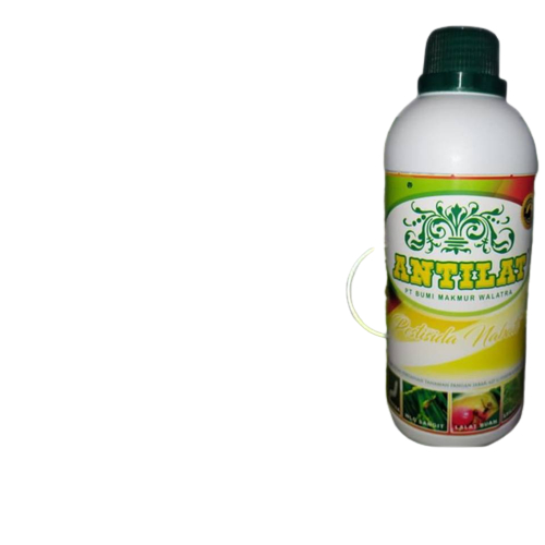 Pupuk Antilat Obat Lalat Buah Terbaik, Pupuk Pestisida Lalat Buah Antilat Ampuh Atasi lalat