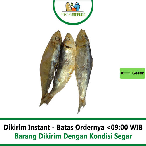 Ikan Asin Tanjan 250 Gr Pasar Lampung