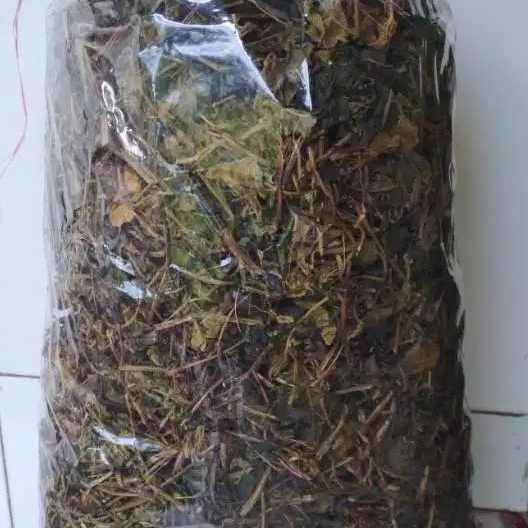 

DAUN BINAHONG KERING MURAH 100 GRAM