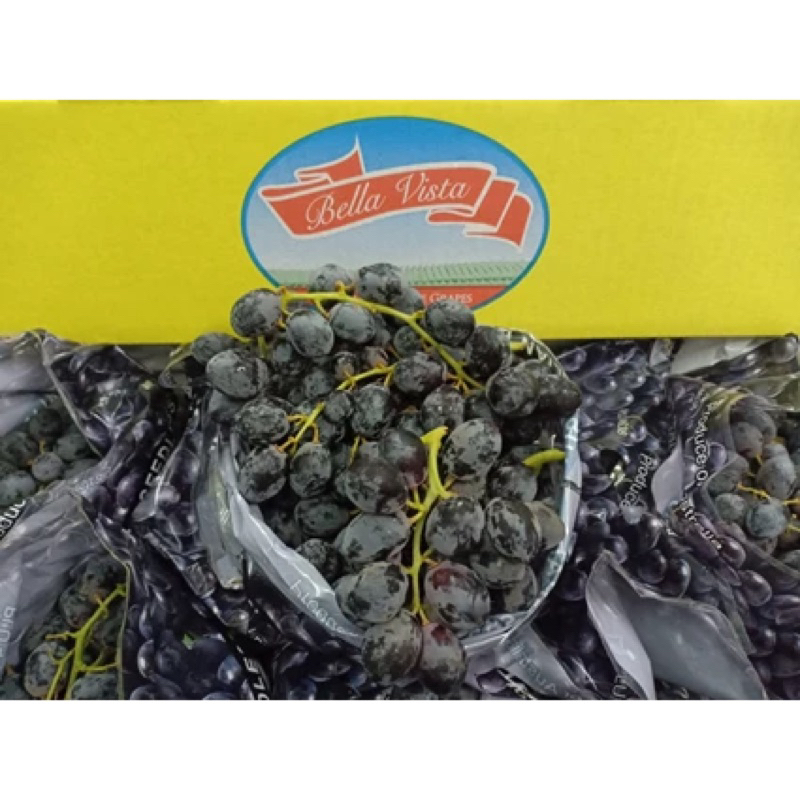 

Anggur Black autum | Buah anggur garing manis Box 10kg