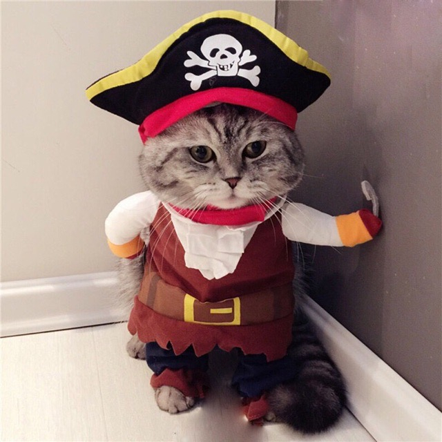 KOSTUM BAJAK LAUT - Baju Hewan Kucing Anjing Bajak Laut Pirate