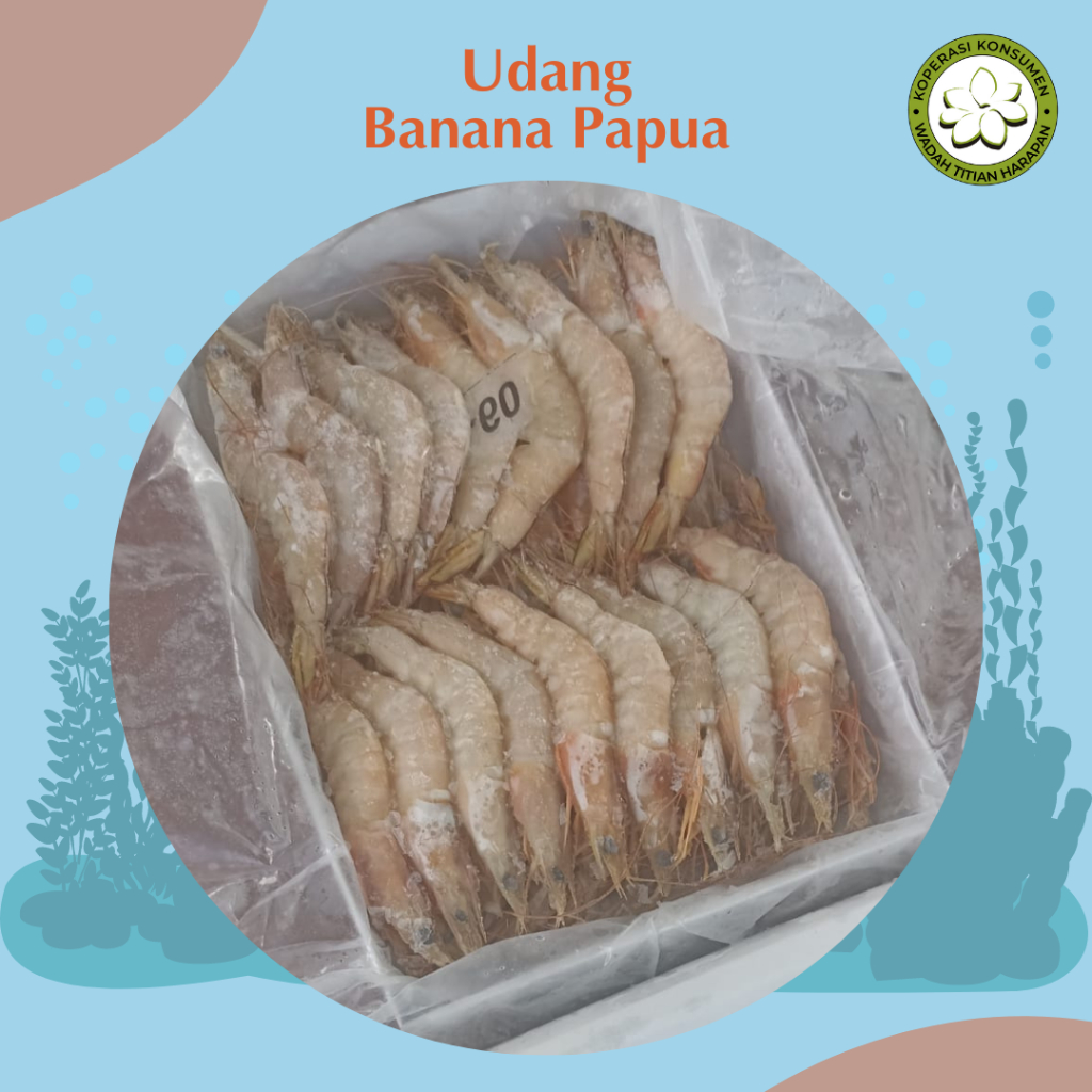 

Udang Banana Papua Berkualitas 1 Kg