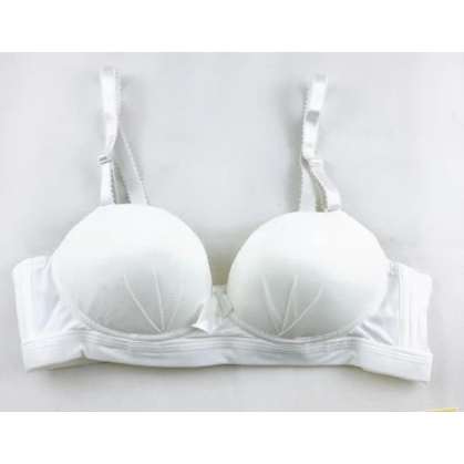 BH01 BH BRA Import Premium Empuk push up tanpa kawat murah impor