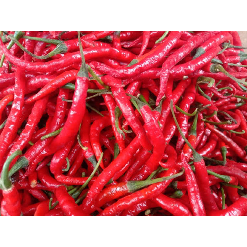 

Cabe Merah Keriting 500 gr