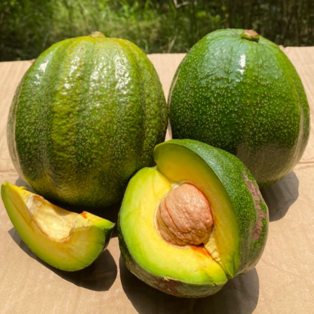 

Alpukat Mentega Markus dan Kendil Premium Quality 1 pcs (600-900gr)